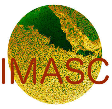 IMASC logo